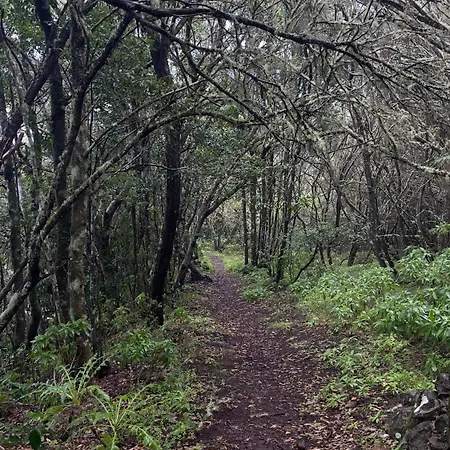 Mesa חוף ואיה גראן ריי