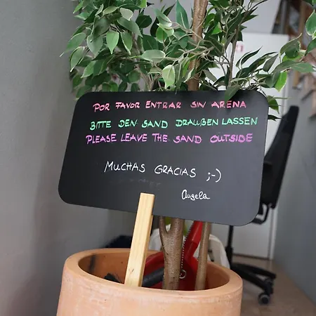 Mesa * فايي غران ري